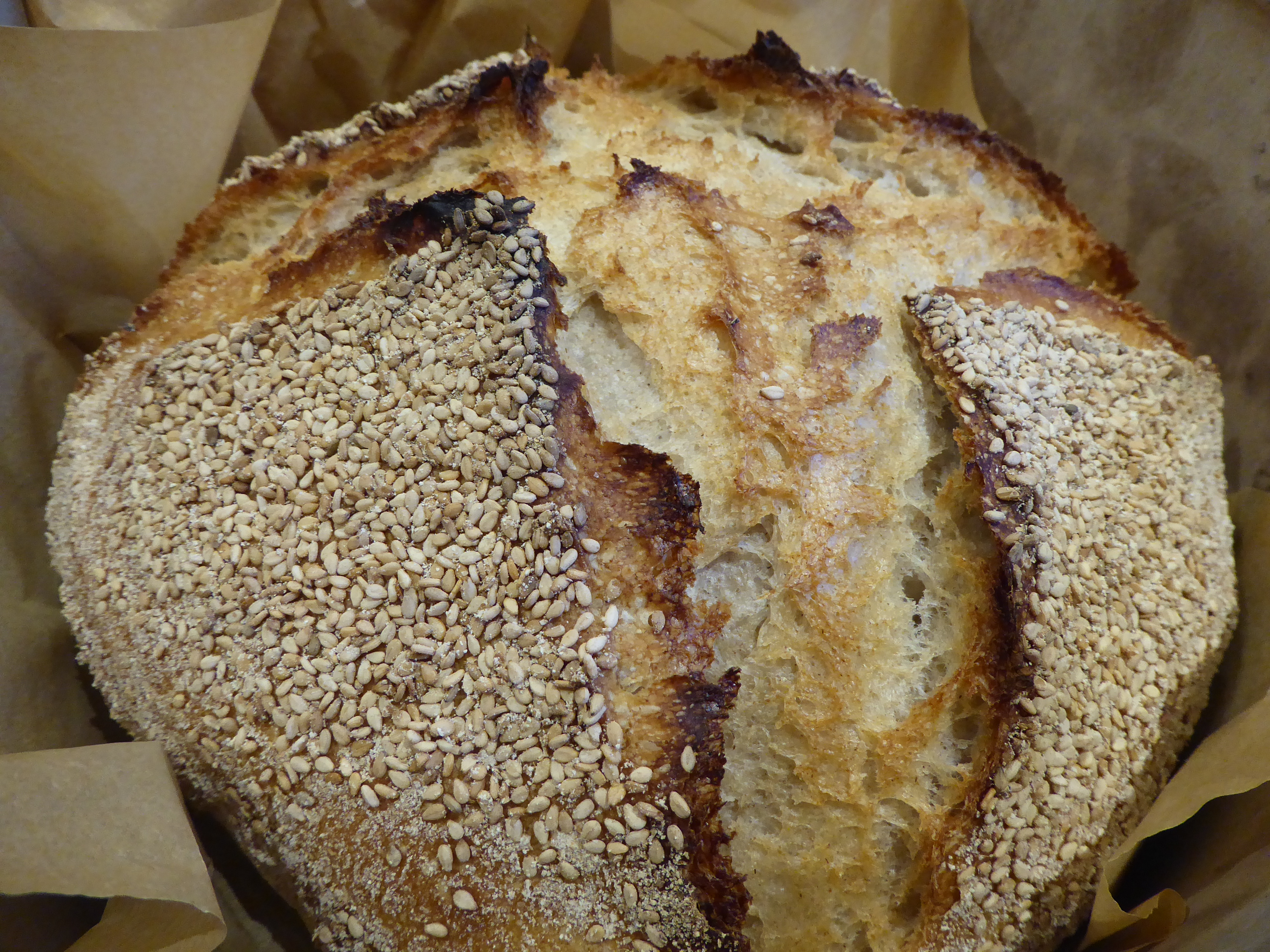 A close up of a freshly baked loaf of bread